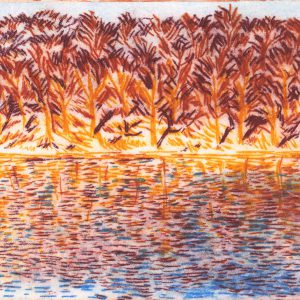 Roundhay Lake, drypoint etching, by Simon Lewis